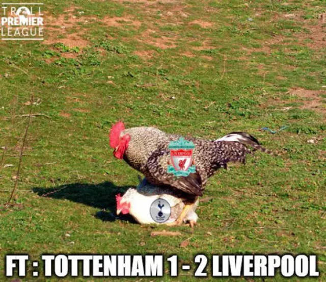 魔鬼主场告破！猛龙此前主场8连胜，被湖人终结